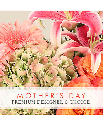 Mother&#039;s Day Designer&#039;s Choice Premium